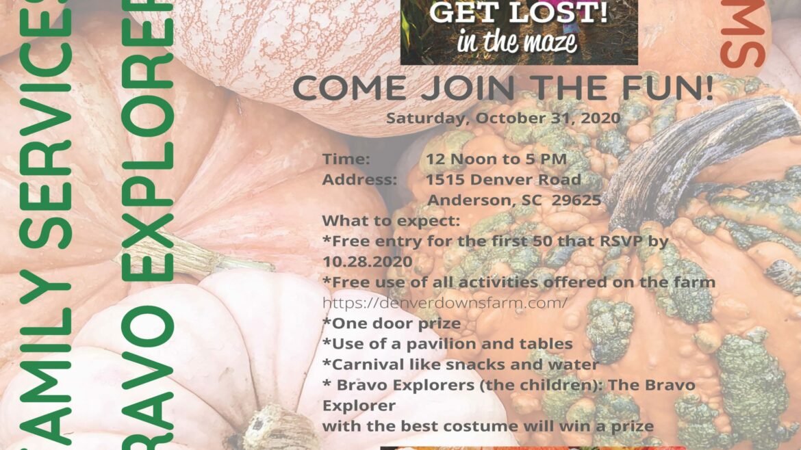 Denver Downs Farm Event